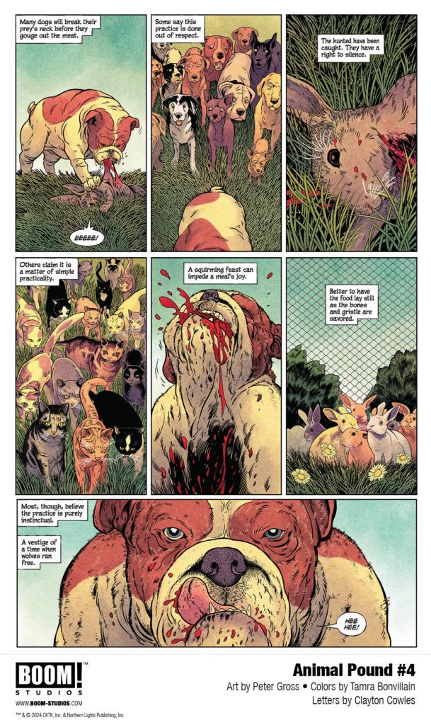 Risk Everything in Your First Look at ANIMAL POUND #2